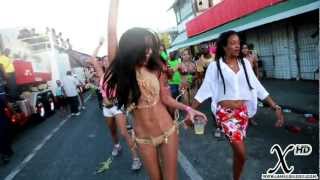 Trinidad Carnival 2k13 - Differentology [ Video ]