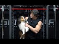 Home Gym Shoulder Workout - DUMBBELLS ONLY
