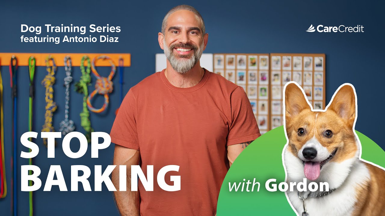 CCWellU-Video-Dog Bark