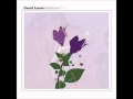 Daniel Lanois - Two Words