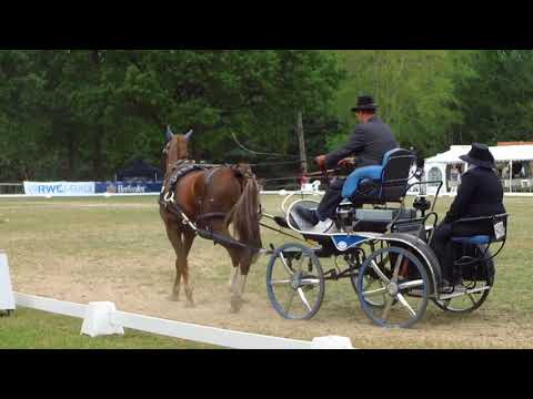 Fahrturnier Alfhausen 25.5.2019