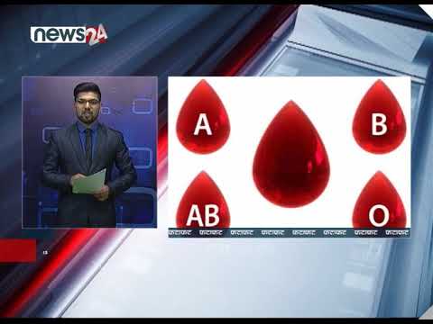 EVENING NEWS FATAFAT - NEWS24 TV