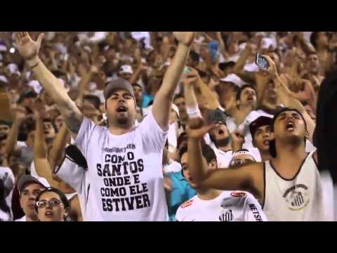 Santos 5 x 0 Botafogo - Torcida Jovem faz a festa