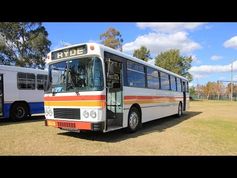 HCVA Golden Jubilee Rally: M/O 7505 - MAN 16.240 UOCL (ZF/Custom Coaches Mk 83)