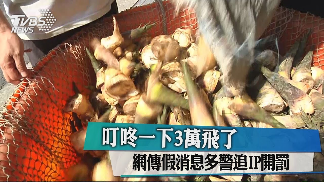 叮咚一下3萬飛了! 網傳假消息多警追IP開罰