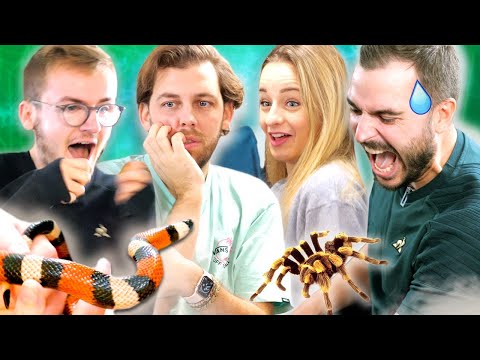 The last one to crack wins (We face our phobias)