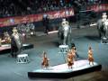 RINGLING ELEPHANTS 2