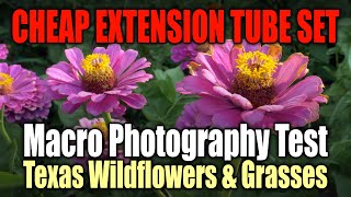 EXTENSION TUBE MACRO VIDEO TEST: Grasses & Wildflowers! Lumix G85 #MacroPhotography #ExtensionTubes