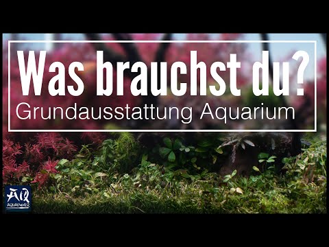 Einsteiger Aquarium Guide (diese Dinge brauchst du wirklich für ein Aquarium) | AquaOwner