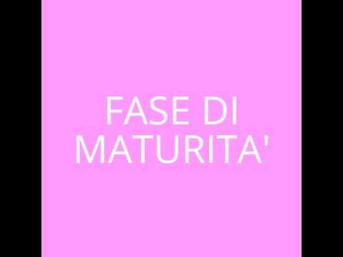 Uso di catrame per trattamento di parassiti Come togliere il sangue da parassiti