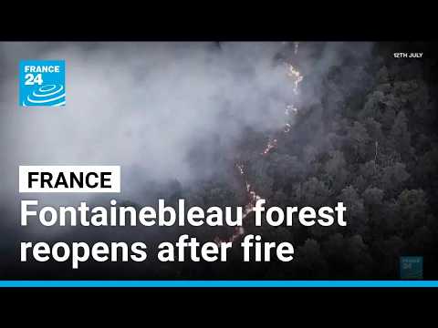 France's Fontainebleau forest reopens one month after wilfire