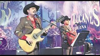Los Tucanes de Tijuana - El Rayito