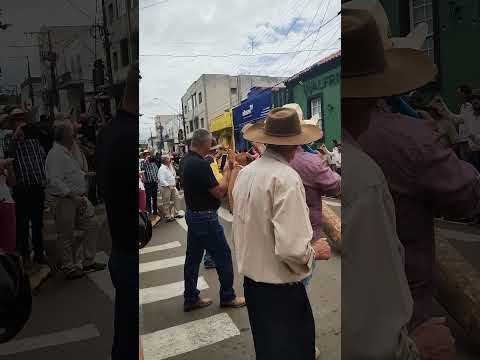 Encontro de carreiros Paraguaçu mg