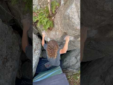 Mustang v8/9 FA - Rumney NH