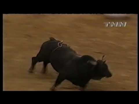 Black Moon bucks Dusty LaBeth - 00 PBR Greensboro