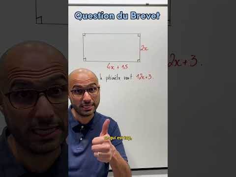 BREVET - PÉRIMÈTRE AVEC x
