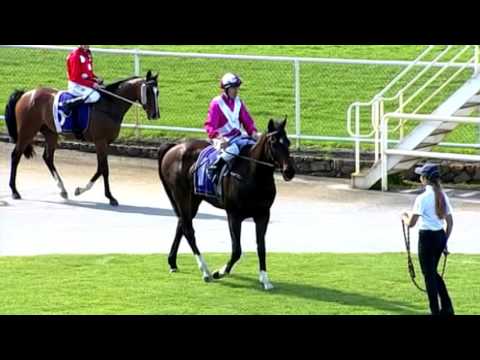 Belmont - 3 Oct 2015 - Race 3 - Last 600m & Post Race Interview