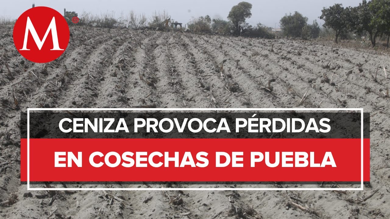 Campesinos de Tochimilco piden apoyo ante los daños por el Popocatépetl