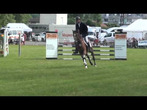 Cerano von Worrenberg - erstes Turnier - SprPf A** - 2. Platz