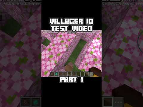The Ultimate Villager IQ Test in Minecraft!