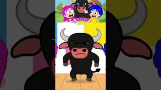 Boi da Cara Preta Colorida #boidacarapreta