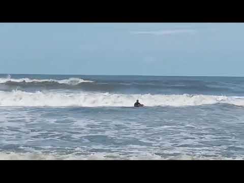 DRISHTI LIFESAVERS RESCUE CALF FROM DROWNING OFF PATNEM BEACH
