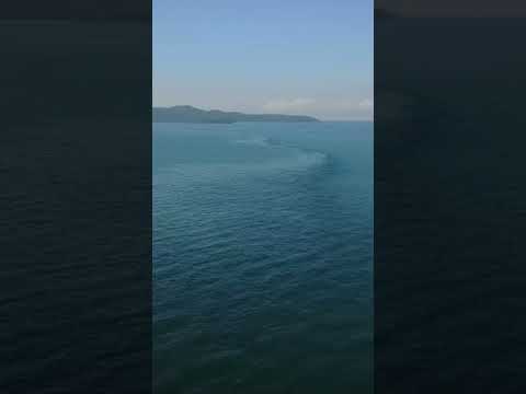 iam enjoying the tour in faran and Kerala Goa beach😍😍#shailajakusuma #shorts #viral