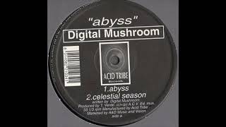 Digital Mushroom – Abyss - Acid Tribe Records – AT 003 (1996)
