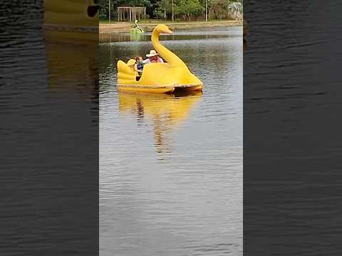 LAGO NA PRAÇA DE BELAVISTA DE GOIÁS #toys #ia #automobile #chatgpt #drone #telugu #labrador #cute #