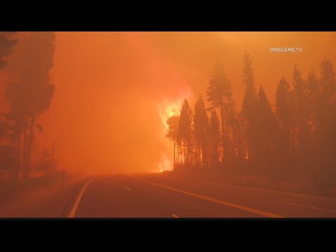 What you need to know: Aug. 31