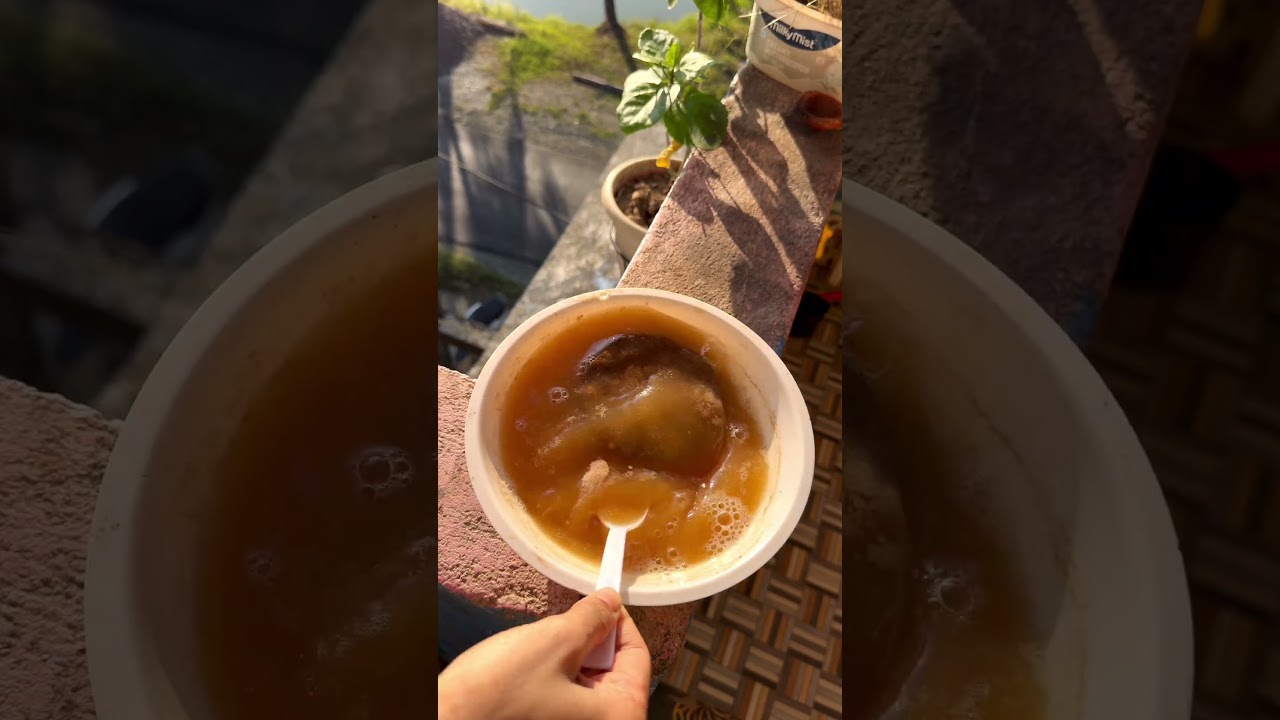 3 Cow Dung Fertilizers That Work Like Magic 🌱 #garden #plants #gardening