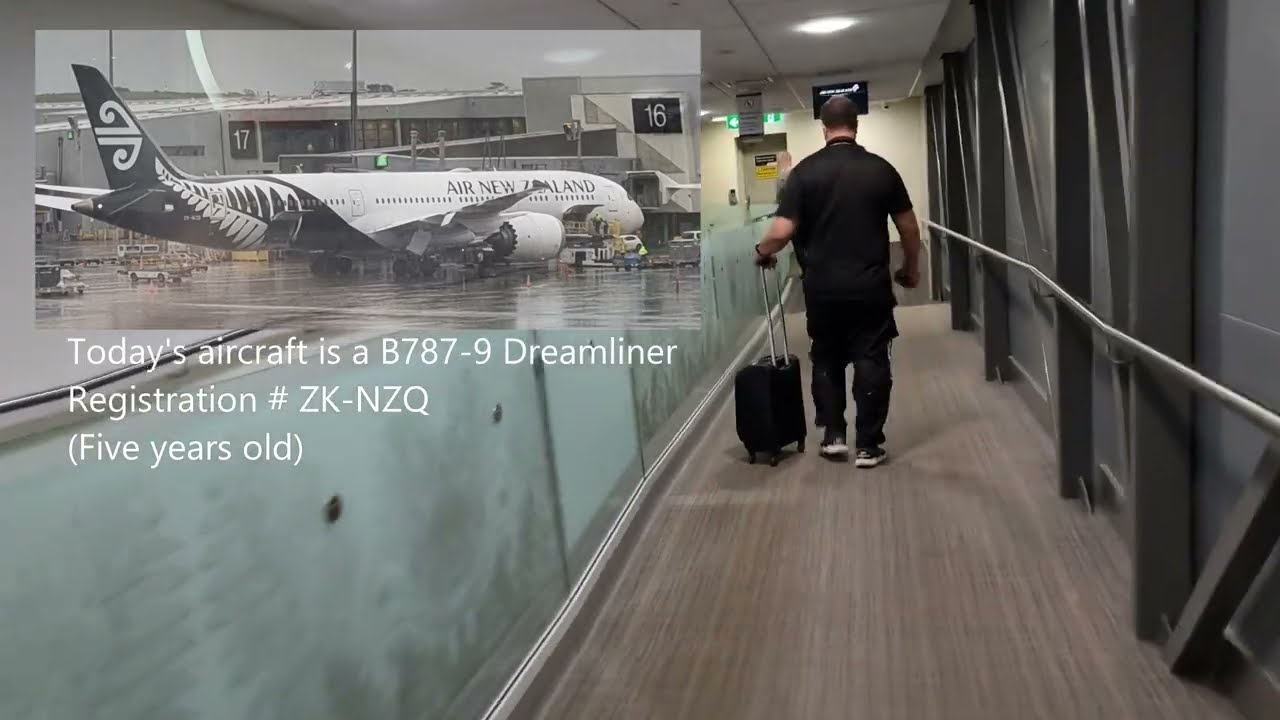 Air New Zealand International Lounge thumbnail