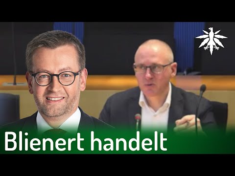 Anhörungen noch vor der Sommerpause | DHV-News # 341