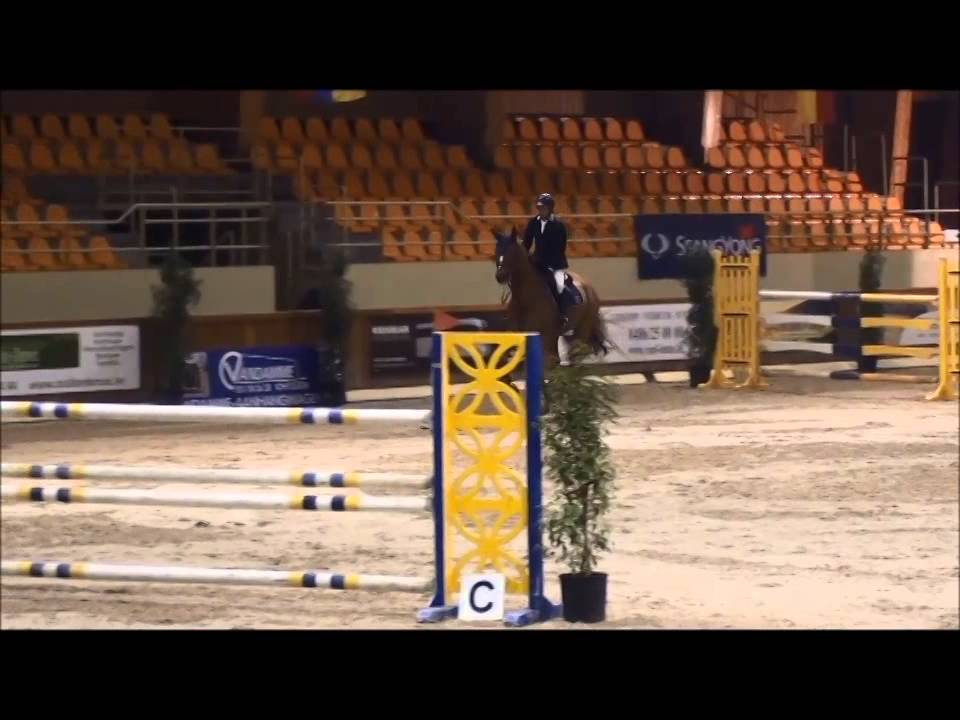 stx Acajou morselle