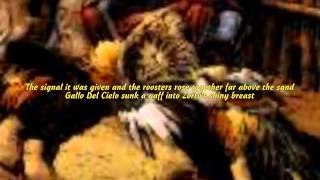 Gallo del Cilro- Artistic Version with Lyrics