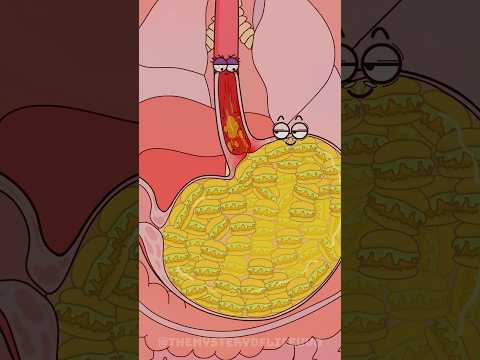 لماذا تشعر بعدم الارتياح إذا أكلت كثيرًا؟#shorts