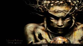 Infected Mushroom - Deeply Disturbed (Infected Feat All Point'z DJ Edit)