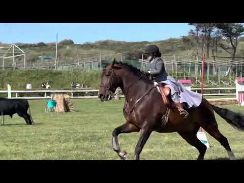 Speed test - Lara e Endi