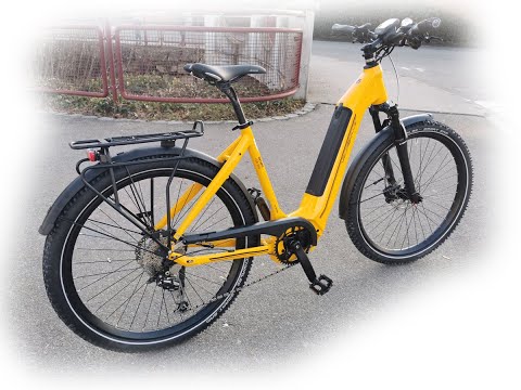 VeloDeVille LEB 990 Intube Sport 27,5 " mit Bosch Performance CX mit 85 Nm