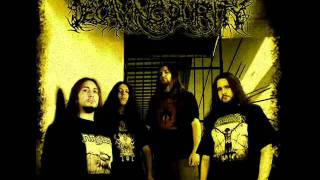 Decaying Purity - Defilement Of The Deranged