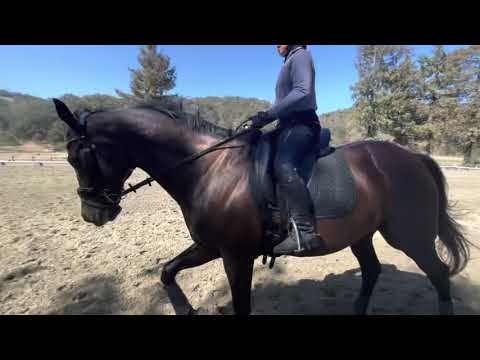 ALW Disco Prince 2021-0721