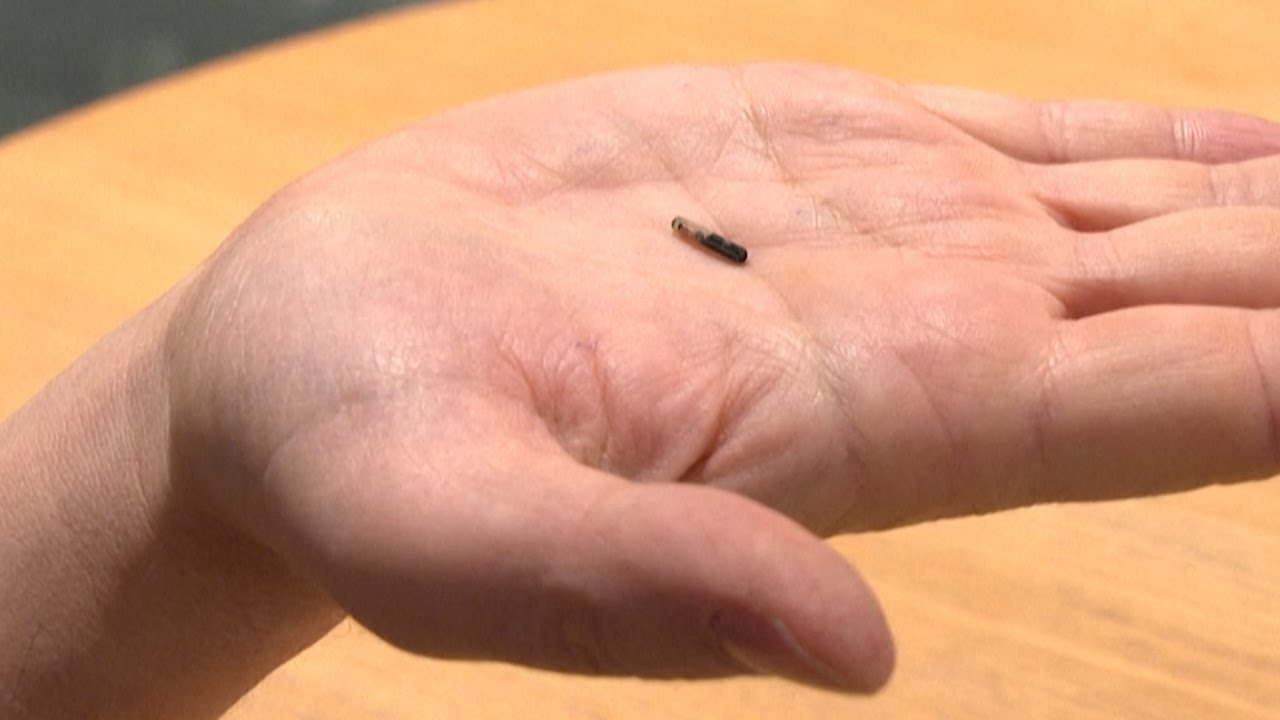 Image for the title: Youtube Image