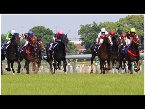 The size of Western Express is ranked by local people in Yasuda Kinen|| NEWS US TODAY