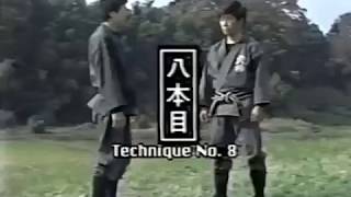 Musha Dori
