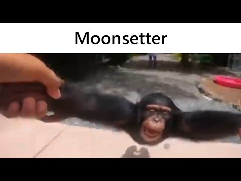 Listening to Homestuck OST be like