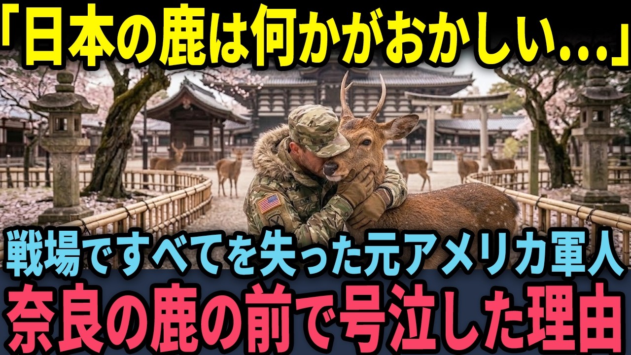 【海外の反応】「軍人の俺に懐くはずがないだろ…？」戦場ですべてを失ったアメリカ退役軍人が奈良の鹿の前で号泣した理由