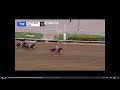 Todd Pletcher S Nearly Dominates The G3 Holy Bull At Gulfstream On Sat Jan 31 2026