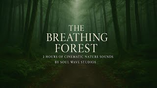 The Breathing Forest | 2 Hours of Cinematic Nature Ambience by Soul Wave Studios