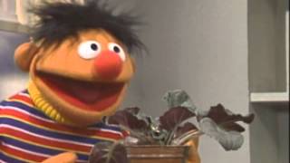 Sesame Street: Little Plant Song With Ernie