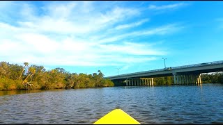 Crosstown Bridge Kayak Escape | Scenic 4K Paddle with Exotic Birds & Lofi Vibes